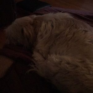 Meet your Posher, Patricia